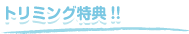 どっぐはーとの思い