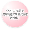 06-img-img02