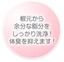 07-img-img03